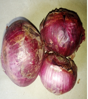 The Effect of Processing on Some Nutritional Indices of Purple Onion, (Allium cepa Linn), Bulb