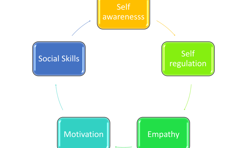 The Role of Emotional Intelligence in Conflict Management