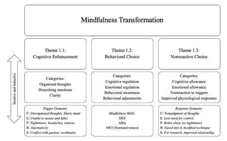 Mindfulness Transformation Themes Extraction Process.