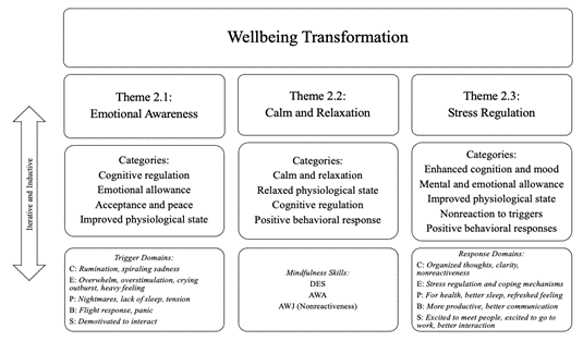 Wellbeing Transformation Themes Extraction Process. 