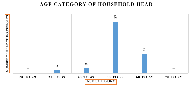 Age category of the Head of Households