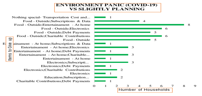 Items given up by the households with Slight planning due to Environmental panic (COVID-19)
