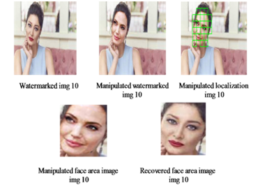 Fig. 6 Authentication results for test image ‘img 10’..